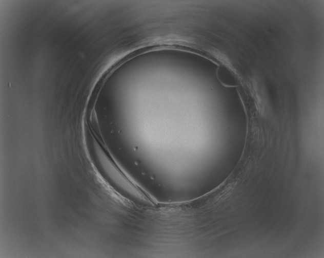 X0000053011032200507081254