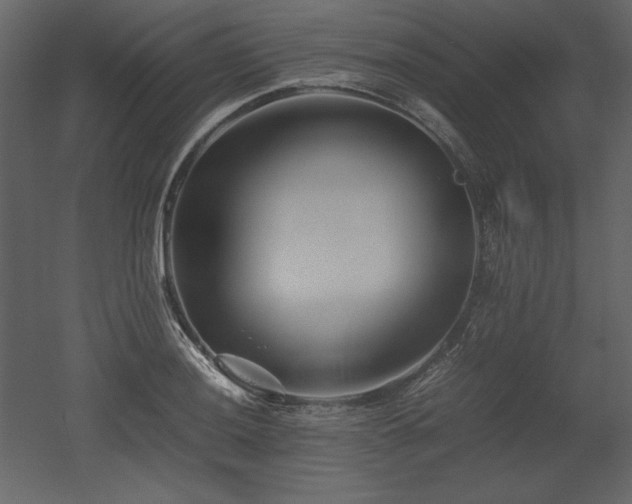 X0000053011036200507081254