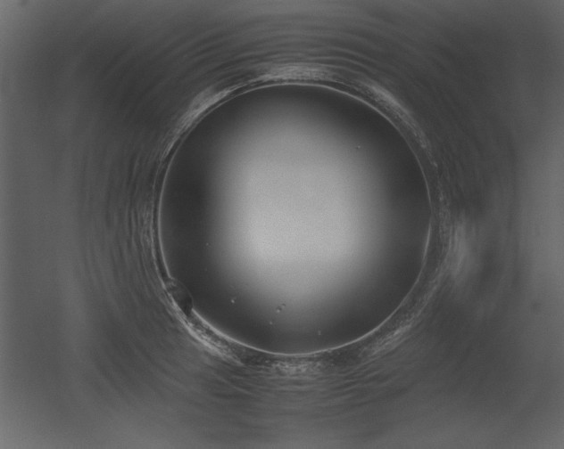 X0000053011041200507081254