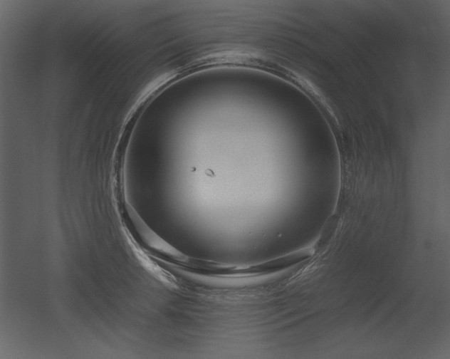 X0000053011042200507081254