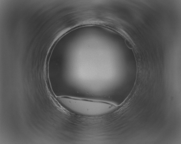 X0000053011044200507081254