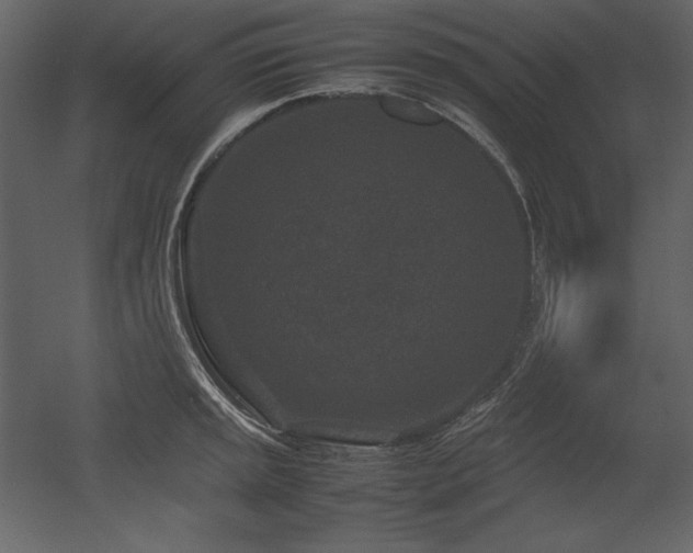 X0000053011045200507081254