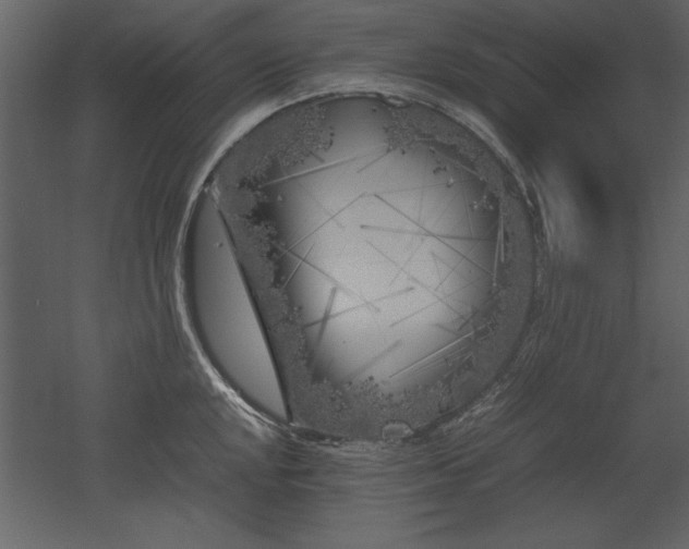 X0000053011048200507081254