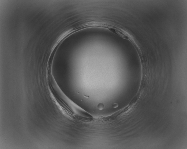 X0000053011050200507081254