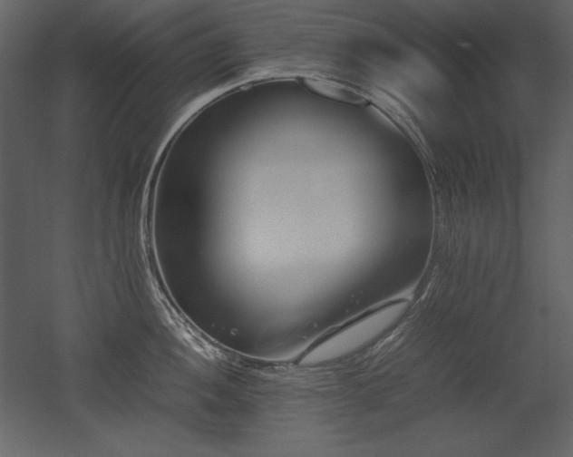 X0000053011052200507081254