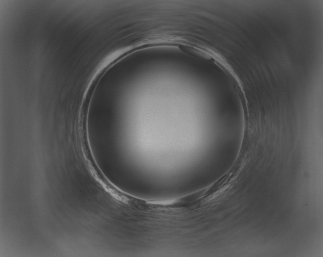 X0000053011053200507081254