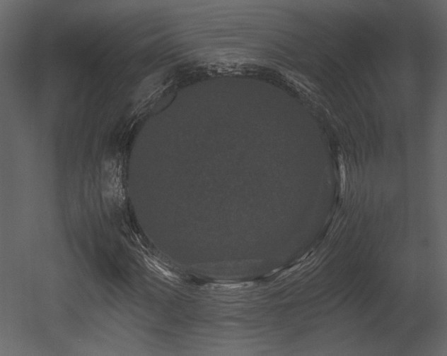 X0000053011060200507081254