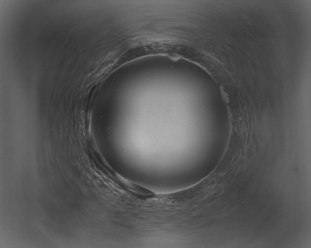 X0000053011061200507081254