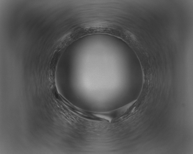 X0000053011062200507081254