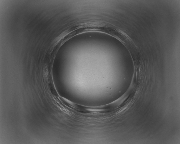 X0000053011065200507081253