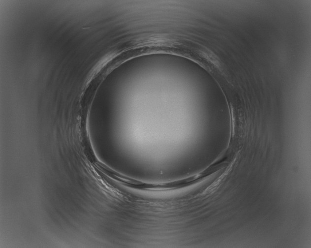 X0000053011066200507081253