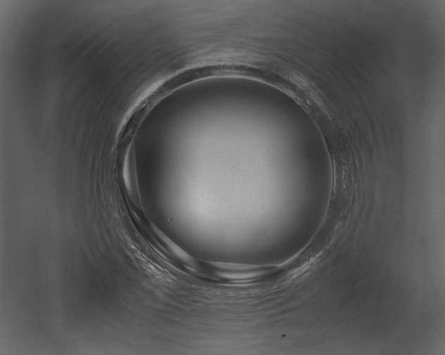 X0000053011069200507081253