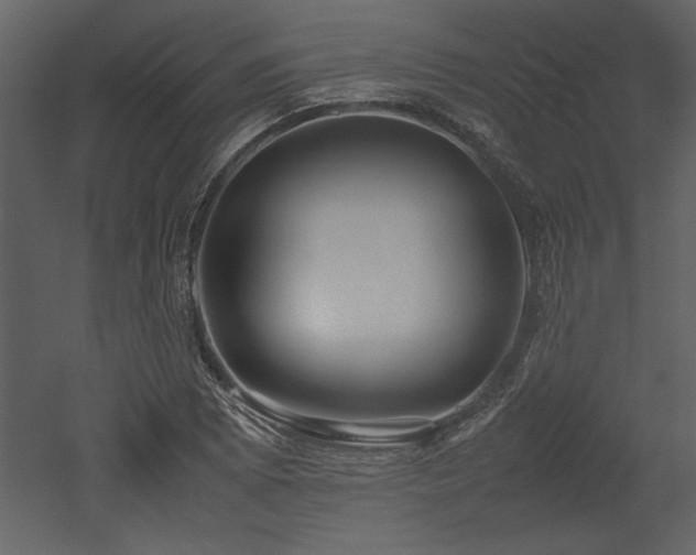 X0000053011073200507081253