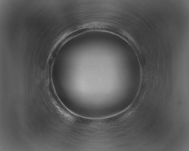 X0000053011075200507081253