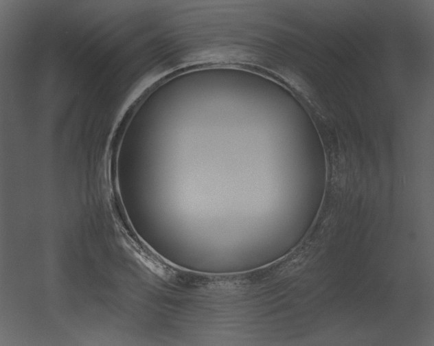 X0000053011078200507081253