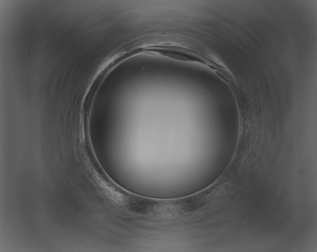 X0000053011079200507081253