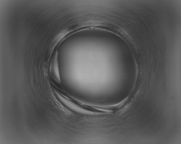 X0000053011081200507081253