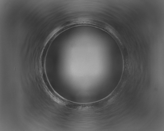 X0000053011082200507081253