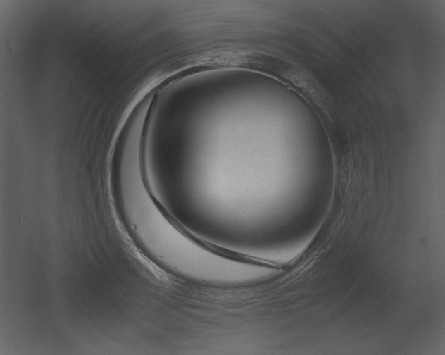 X0000053011083200507081253