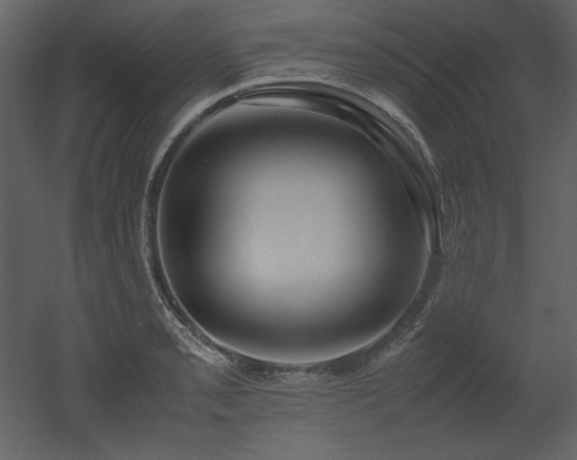 X0000053011085200507081253