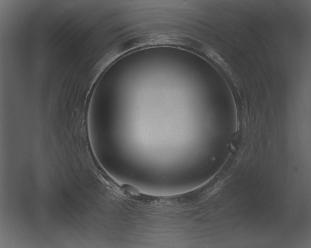 X0000053011089200507081253