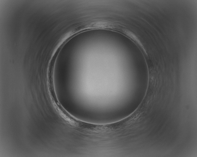 X0000053011091200507081253