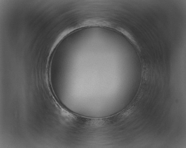 X0000053011094200507081253