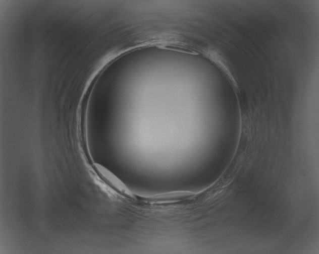 X0000053011099200507081253