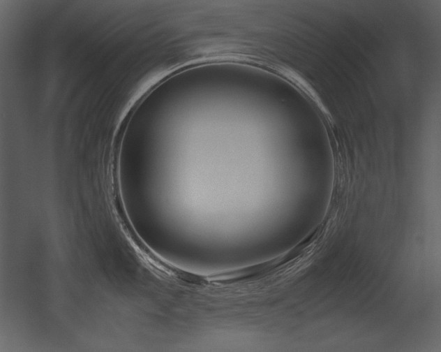 X0000053011101200507081253