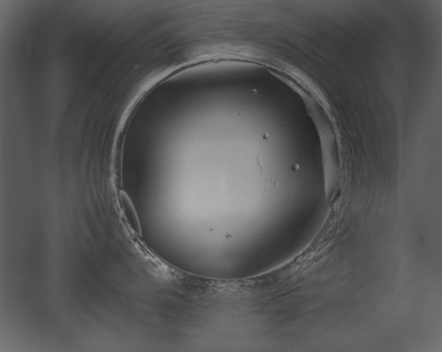 X0000053011104200507081253