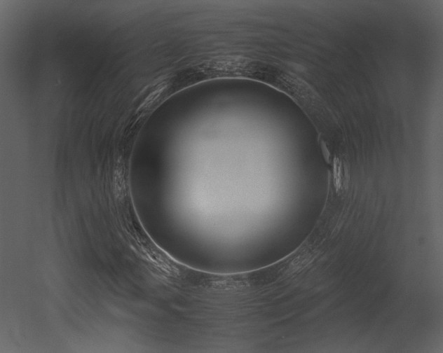 X0000053011107200507081252