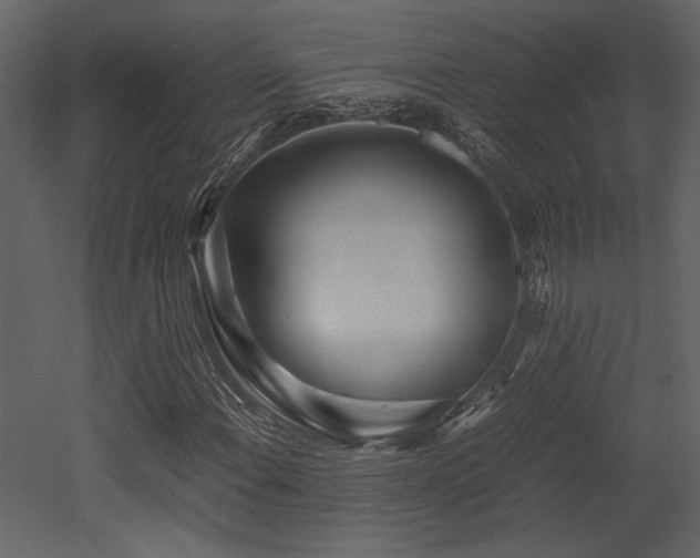 X0000053011108200507081252