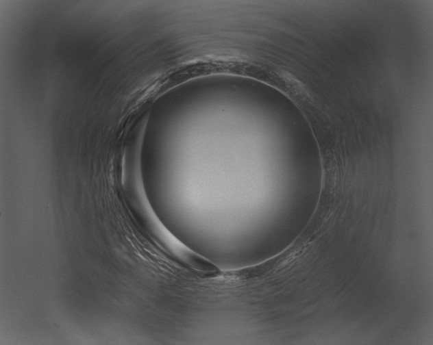 X0000053011110200507081252