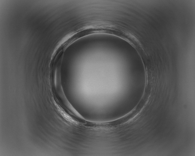 X0000053011114200507081252