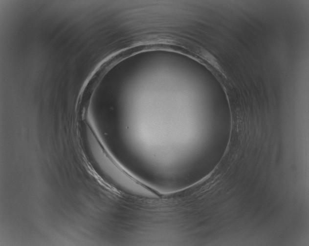X0000053011116200507081252