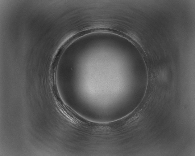 X0000053011119200507081252