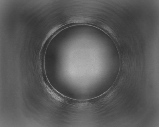 X0000053011122200507081252