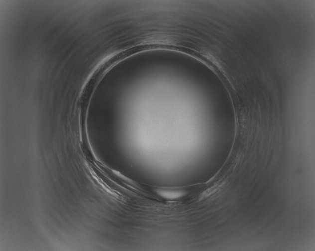 X0000053011123200507081252