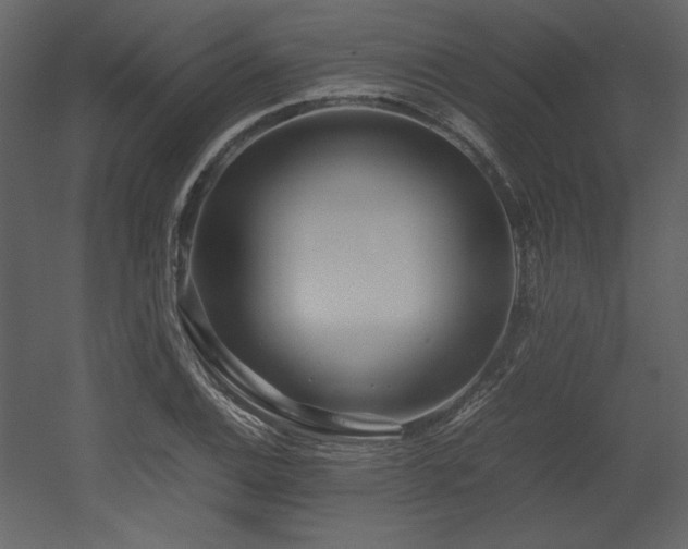 X0000053011124200507081252