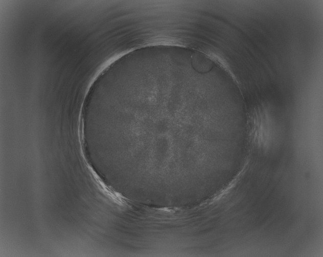 X0000053011125200507081252