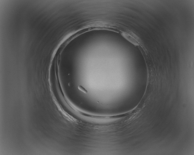 X0000053011128200507081252