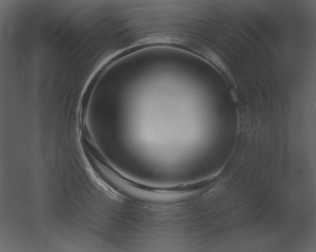 X0000053011132200507081252