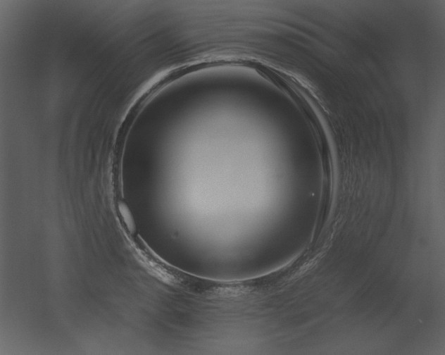 X0000053011134200507081252