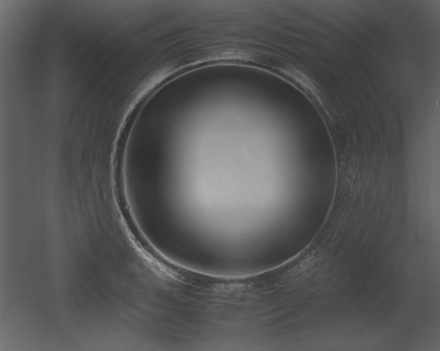 X0000053011135200507081252