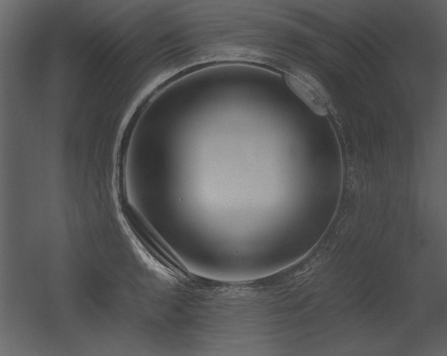 X0000053011136200507081253