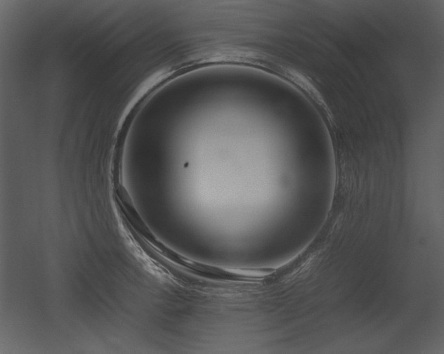 X0000053011138200507081253