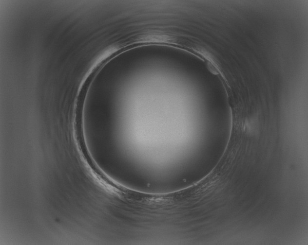X0000053011139200507081253