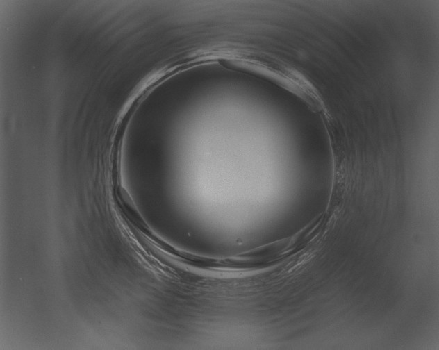 X0000053011146200507081253