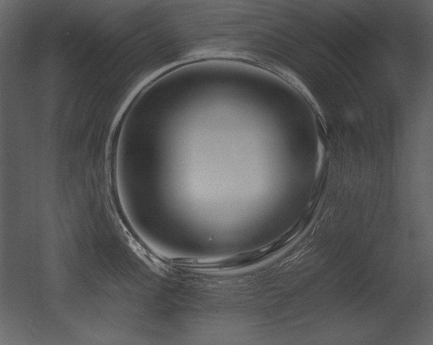 X0000053011148200507081253