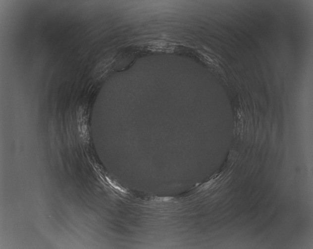 X0000053011154200507081252